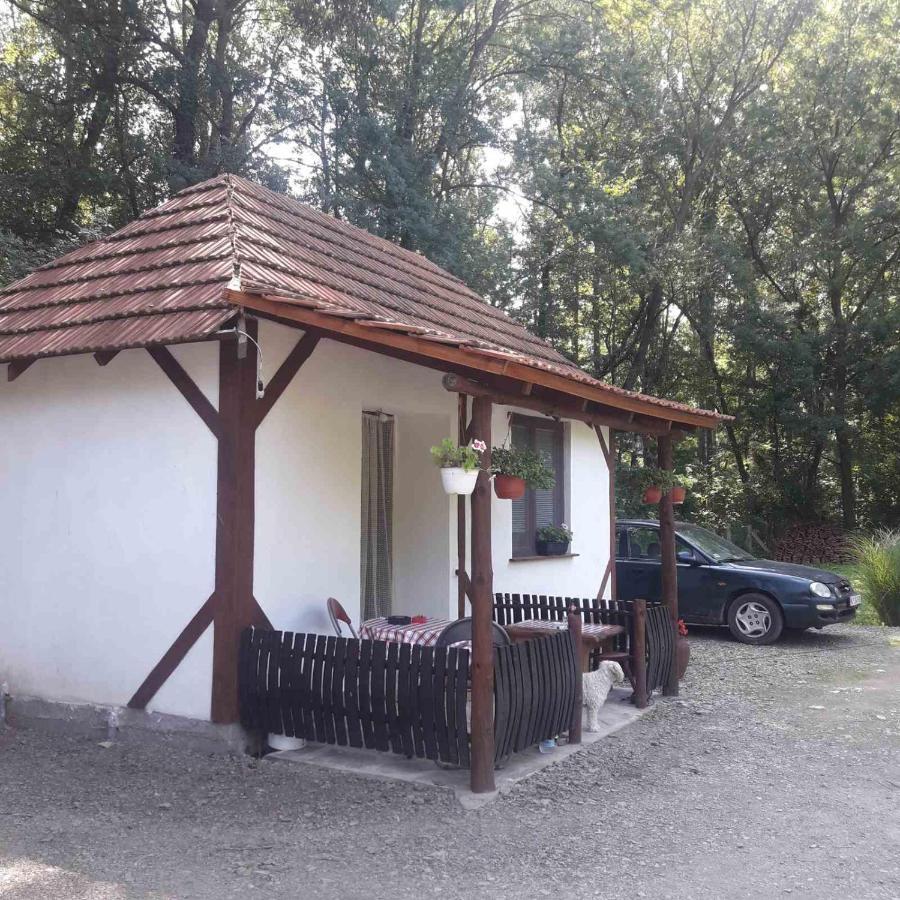 Sljivik Guest House Ni Exterior foto