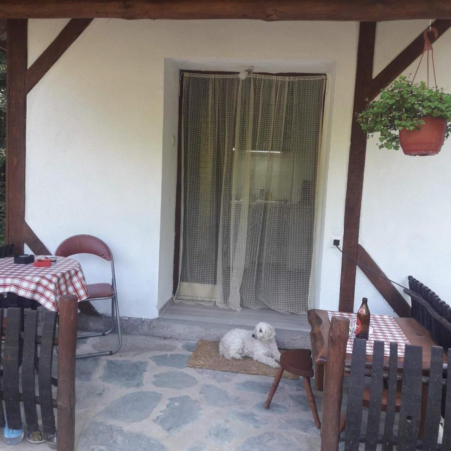 Sljivik Guest House Ni Exterior foto